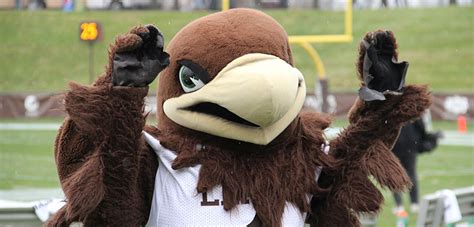 From Engineers to Mountain Hawks - The Brown and White