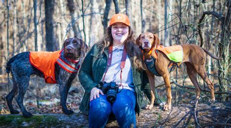 Protective Clothing & Gear for Hunting Dogs - The Accidental Bird Dog