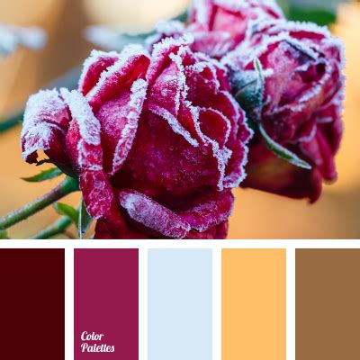 maroon | Color Palette Ideas