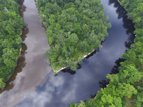 Explore the Suwannee River | Florida State Parks