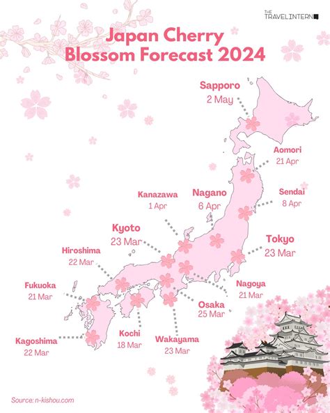 Experience Japan’s Cherry Blossom 🌸🌸🌸... - Travel Worthy PH