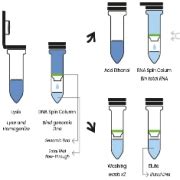 REAL DNA/RNA Purification Kit - Real Laboratory
