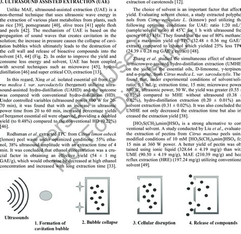 Basic principle of ultrasound-assisted extraction. | Download Scientific Diagram