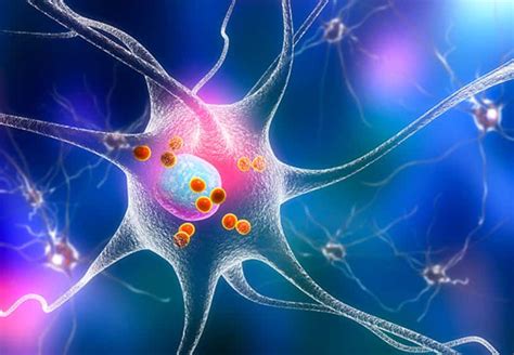 Side-Effects of Monoclonal Antibody Drugs - Diversity News Magazine