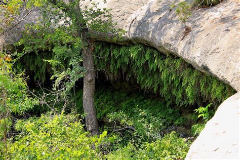 Meridian State Park In Meridian, TX | America's State Parks