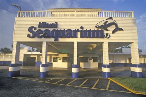 Tickets Miami Seaquarium - Miami | Tiqets.com