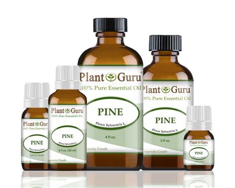 Pine Essential Oil