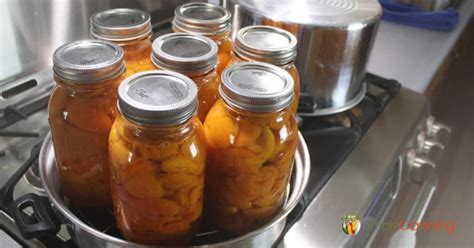 Steam Canner: Ever heard of steam canning? Learn how to use one here.