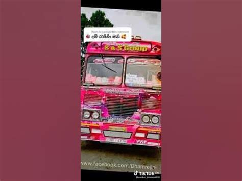 Bus video 2021 | Damrajina bus video | 2021 video | dj bus video srilanka | sl shan - YouTube