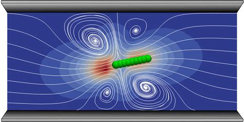 Theory and Simulation of Soft Matter, Hydrodynamics, and Biophysics : Joost de Graaf