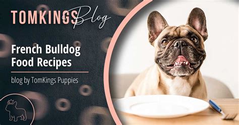 French Bulldog Food Recipes - TomKings Kennel