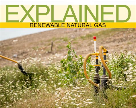 Williams renewable natural gas projects explained | Williams Companies