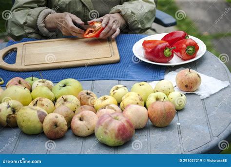 Pepper and apples stock image. Image of food, fruits - 291027219