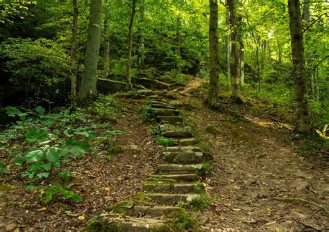 19 Favorite Shawnee National Forest Trails We Have Been On!