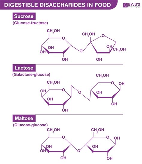 Lactose Intolerance And The Major Disaccharides Definition Structure | My XXX Hot Girl