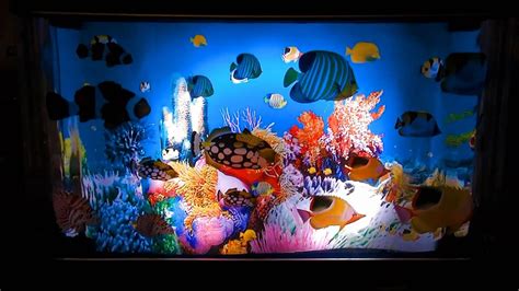 Living Aquarium lamp - YouTube