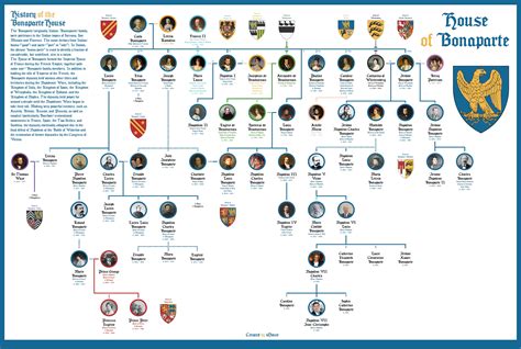 House of Bonaparte - Family Tree : r/UsefulCharts