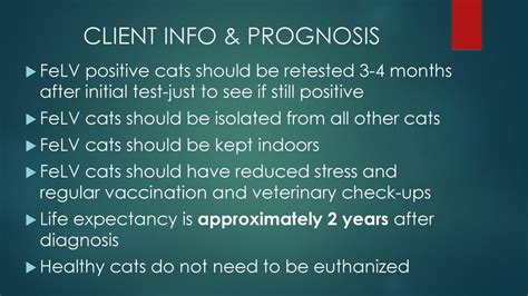 CASE # 7 Feline Leukemia Chapter 9. CASE # 7 Feline Leukemia Chapter ppt download