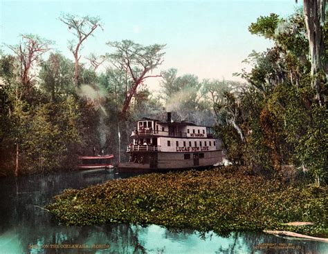 transpress nz: paddle steam boat on the Ocklawaha River, Florida, 1902