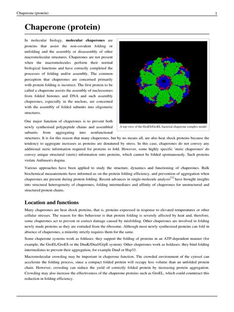 Chaperone (Protein) | Chaperone (Protein) | Molecular Biology | Free 30 ...