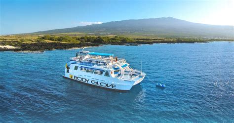 Dolphin Tours Big Island Hawaii | Call or Text to Book +1 (808) 400-4481