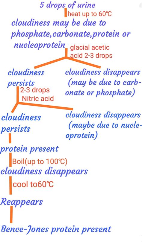 Bence-Jones protein detection in urine