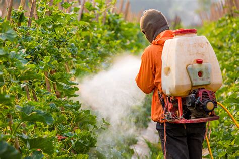 Ces 7 fruits et légumes sont les plus riches… en pesticides ...