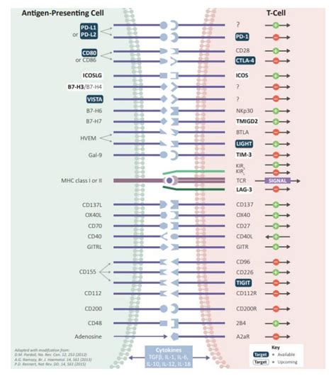 Immune Checkpoint Research Reagents | ProSci Incorporated