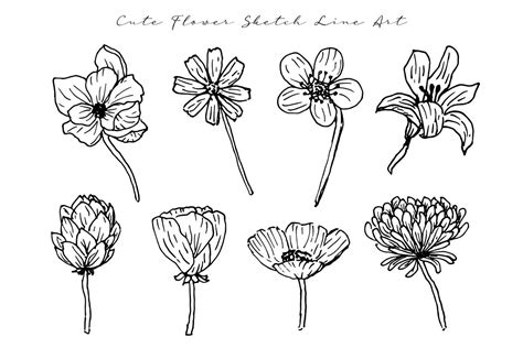 Cute Wild Flower Sketch Line Art Graphic by fathurmutiah · Creative Fabrica