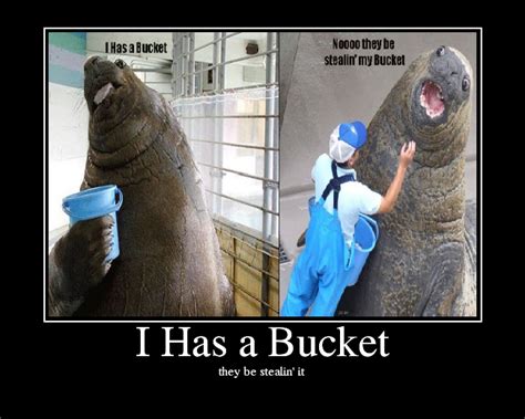 I Has Bucket Meme - memestund