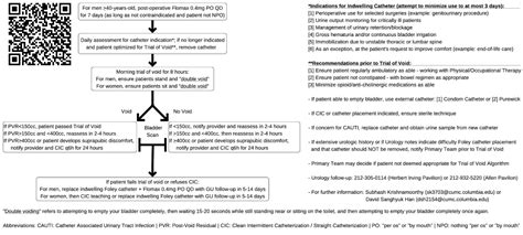 Multi-Disciplinary Development and Implementation of a Trial of Void Algorithm to Standardize ...