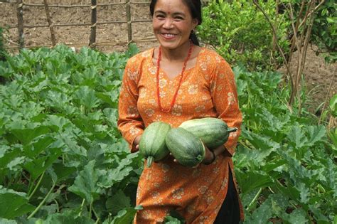 Sustainable Agriculture in Nepal - GlobalGiving