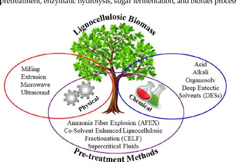 Figure 3 from Improve Enzymatic Hydrolysis of Lignocellulosic Biomass ...