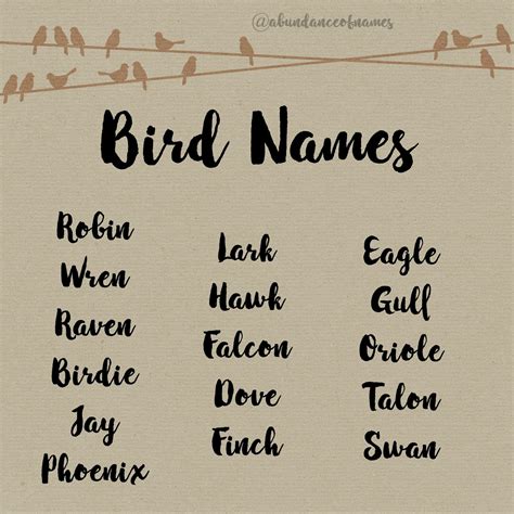 Ren's Baby Name Blog: Robin and Gull: Bird Names