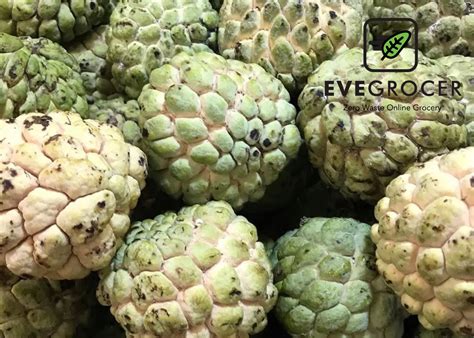 Atis – EveGrocer