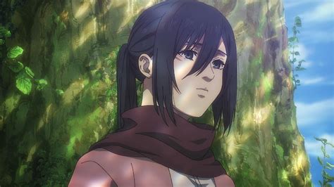 Attack on Titan Epilogue Reveals Mikasa's Post-War Life