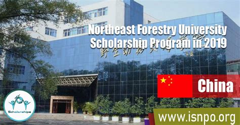 Northeast Forestry University Scholarship Program in China 2019 - Scholarships for Excellence