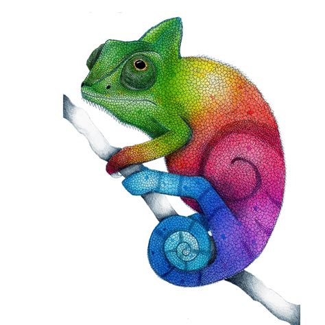 Photo Clipart, Png Photo, Chameleon, Hd Photos, Png Images, Design ...