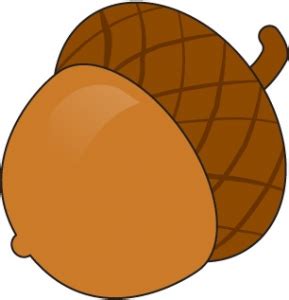 Acorns clipart - Clipground