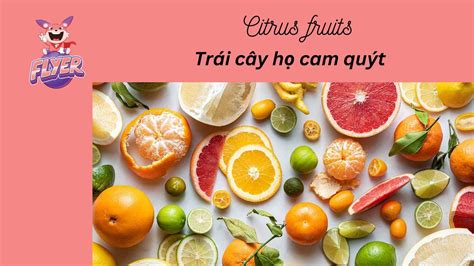 120+ tên các loại trái cây trong tiếng Anh và thành ngữ thông dụng