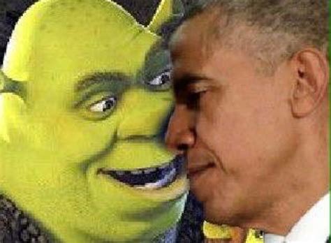 Shrek And It Meme