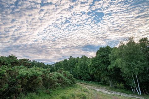 Beautiful mackerel sky cirrocumulus altocumulus cloud formations Photograph by Matthew Gibson ...