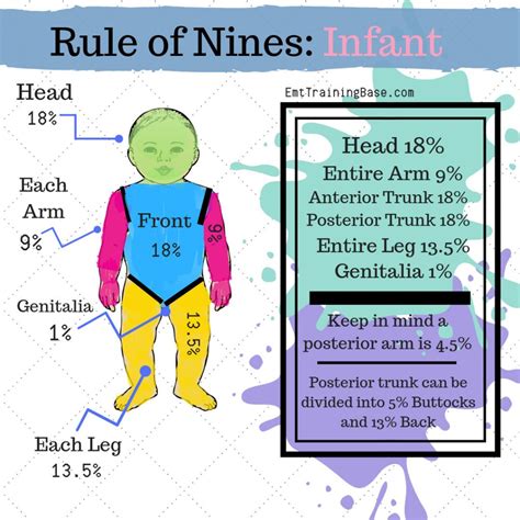 Rule Of Nines Quiz