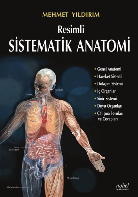 Resimli Sistematik Anatomi by Nobel Tip Kitabevi Ltd - Issuu