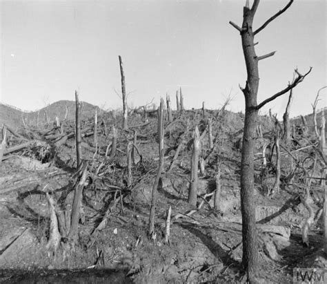 THE AFTERMATH OF THE ATOMIC BOMB: JAPAN, 1945 | Imperial War Museums