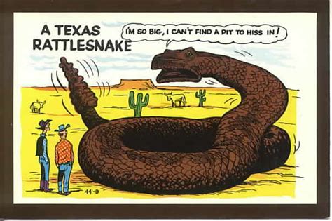 Texas Puns