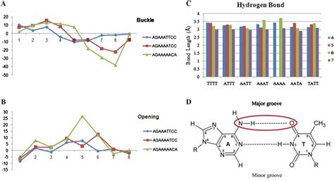 Repressor motifs have weak A-T pairing. (A and B) Longer A-tracts of... | Download Scientific ...