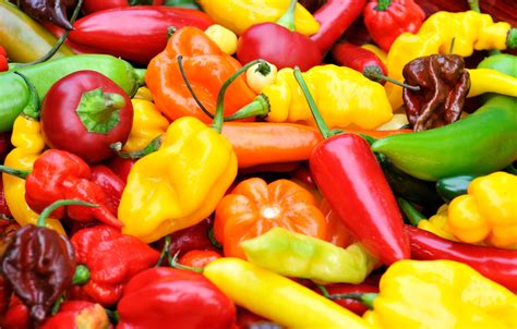 13 Mexican Peppers for a Fiery Flavor Fiesta