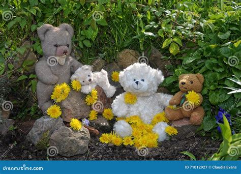 Teddy Bears with Many Dandelion Flowers Stock Image - Image of stone ...