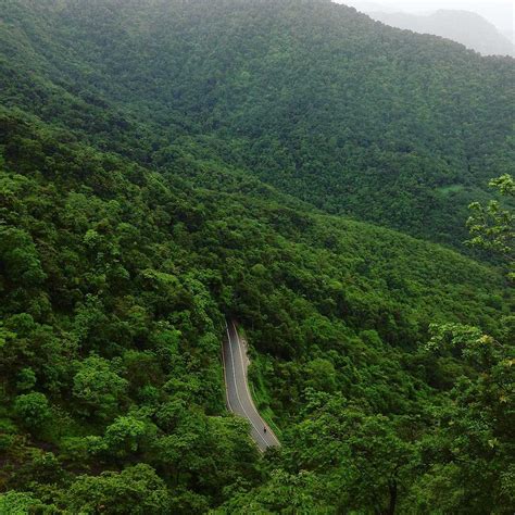 34 Things to Do in Wayanad